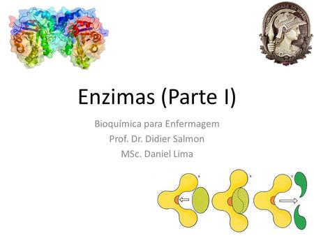 Bioquímica para Enfermagem Prof. Dr. Didier Salmon MSc. Daniel Lima