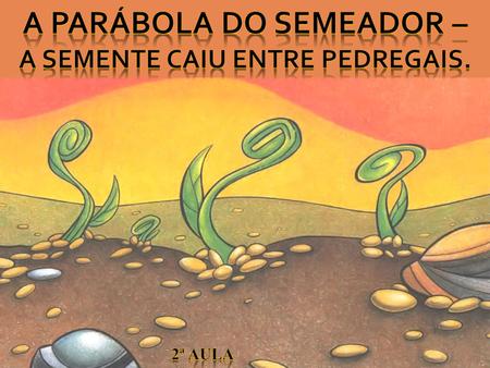 A PARÁBOLA DO SEMEADOR – A semente caiu entre pedregais.