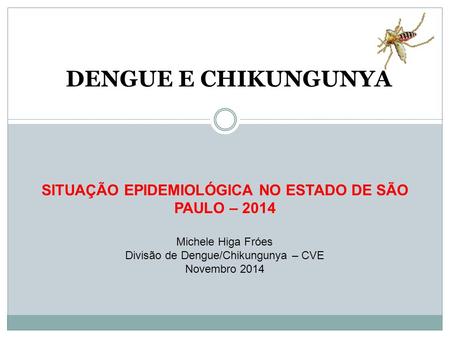 DENGUE E CHIKUNGUNYA SITUAÇÃO EPIDEMIOLÓGICA NO ESTADO DE SÃO PAULO – 2014 Michele Higa Fróes Divisão de Dengue/Chikungunya – CVE Novembro 2014  