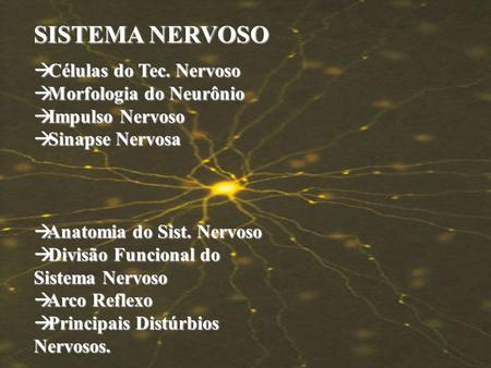 SISTEMA NERVOSO Células do Tec. Nervoso Morfologia do Neurônio