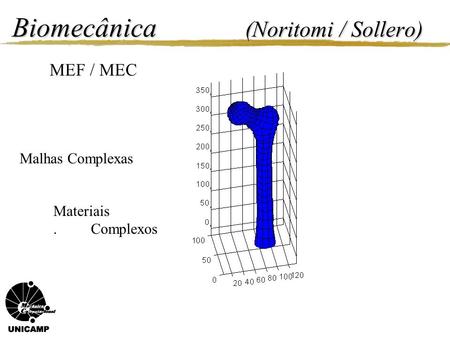Biomecânica (Noritomi / Sollero)