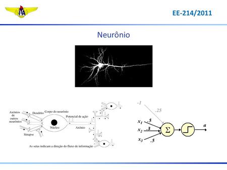 Neurônio .3.