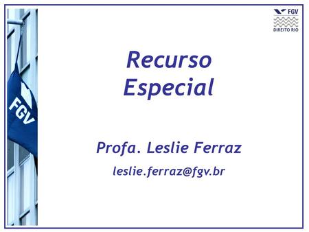 Recurso Especial Profa. Leslie Ferraz leslie.ferraz@fgv.br.