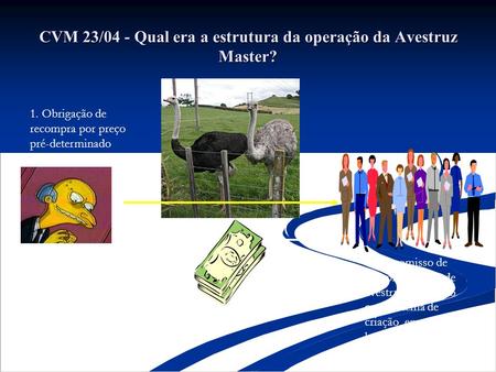 CVM 23/04 - Qual era a estrutura da operação da Avestruz Master?