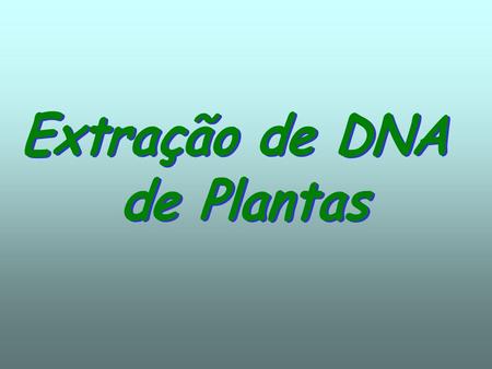 Extração de DNA de Plantas.