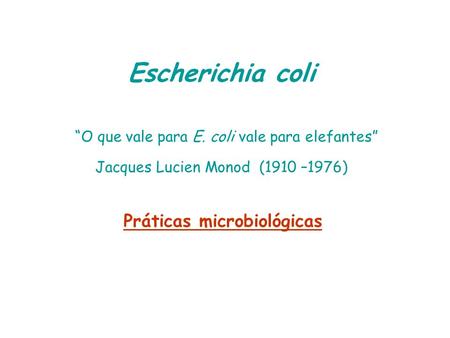 Práticas microbiológicas