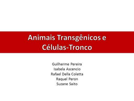 Animais Transgênicos e Células-Tronco