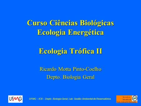 Curso Ciências Biológicas Ecologia Energética Ecologia Trófica II