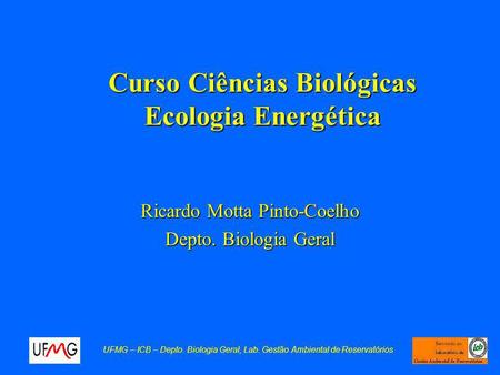 Curso Ciências Biológicas Ecologia Energética Ricardo Motta Pinto-Coelho Depto. Biologia Geral UFMG – ICB – Depto. Biologia Geral, Lab. Gestão Ambiental.