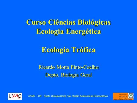 Curso Ciências Biológicas Ecologia Energética Ecologia Trófica