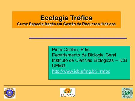 Ecologia Trófica Curso Especialização em Gestão de Recursos Hídricos Pinto-Coelho, R.M. Departamento de Biologia Geral Instituto de Ciências Biológicas.