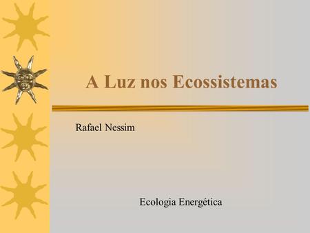 Rafael Nessim Ecologia Energética