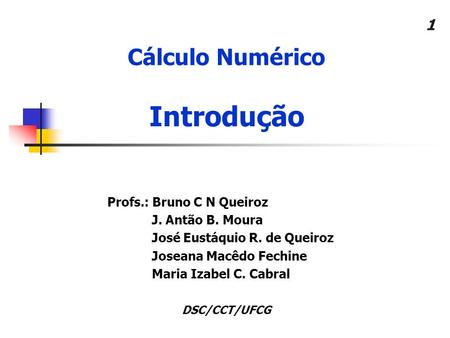 Introdução Cálculo Numérico Profs.: Bruno C N Queiroz
