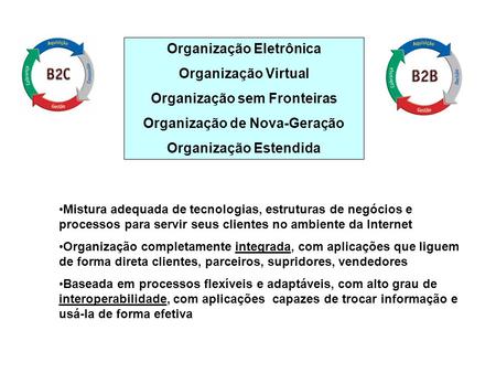Organização Eletrônica Organização Virtual Organização sem Fronteiras