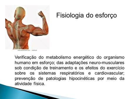 Fisiologia do esforço Verificação do metabolismo energético do organismo humano em esforço; das adaptações neuro-musculares sob condição de treinamento.