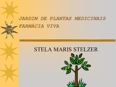 JARDIM DE PLANTAS MEDICINAIS FARMÁCIA VIVA