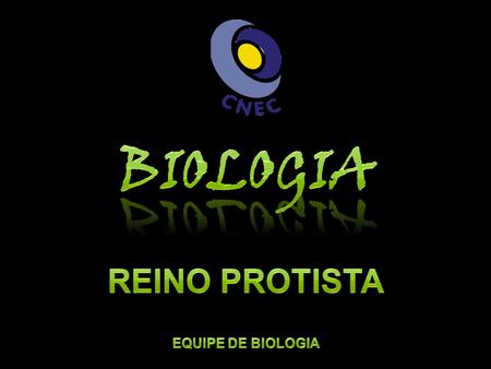 Biologia Reino Protista Equipe de biologia.