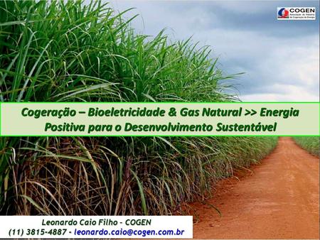 Cogeração – Bioeletricidade & Gas Natural >> Energia Positiva para o Desenvolvimento Sustentável Leonardo Caio Filho – COGEN (11) 3815-4887 - leonardo.caio@cogen.com.br.