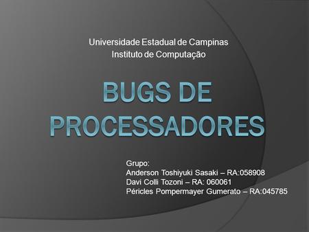 Universidade Estadual de Campinas Instituto de Computação