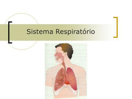 Sistema Respiratório.