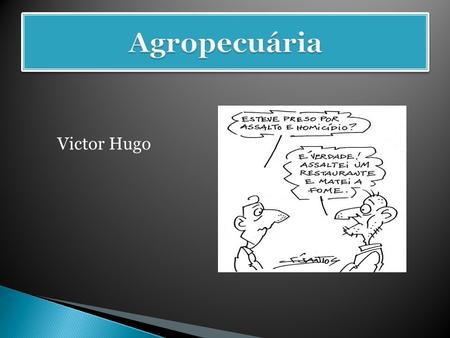 Agropecuária Victor Hugo.