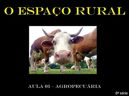 O ESPAÇO RURAL AULA 01 – AGROPECUÁRIA 6a série.