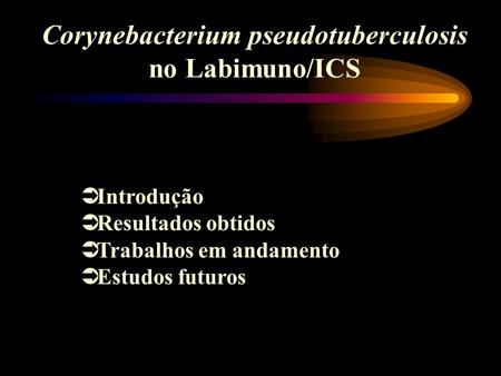 Corynebacterium pseudotuberculosis no Labimuno/ICS