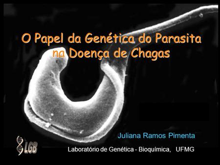 O Papel da Genética do Parasita na Doença de Chagas