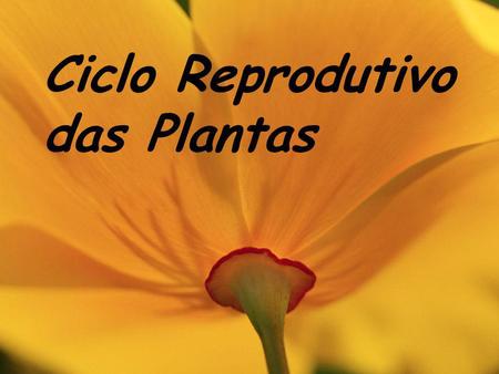 Ciclo Reprodutivo das Plantas