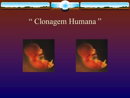 “ Clonagem Humana ”.