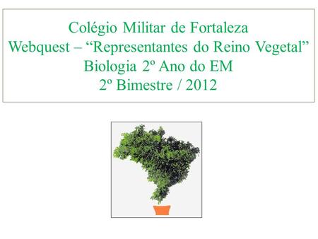 Colégio Militar de Fortaleza Webquest – “Representantes do Reino Vegetal” Biologia 2º Ano do EM 2º Bimestre / 2012.