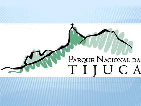 Parque nacional da Tijuca