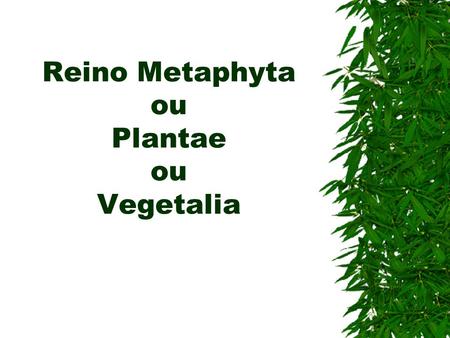 Reino Metaphyta ou Plantae ou Vegetalia