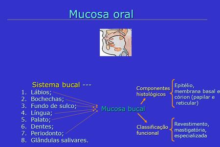 Mucosa oral Mucosa bucal Sistema bucal --- Lábios; Bochechas;