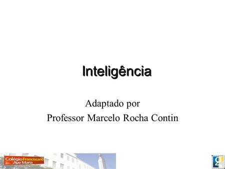 Professor Marcelo Rocha Contin