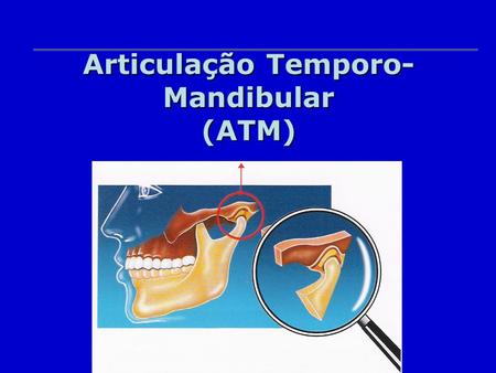 Articulação Temporo-Mandibular (ATM)