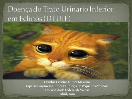 Doença do Trato Urinário Inferior em Felinos (DTUIF)