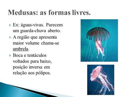 Medusas: as formas livres.