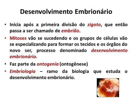 Desenvolvimento Embrionário