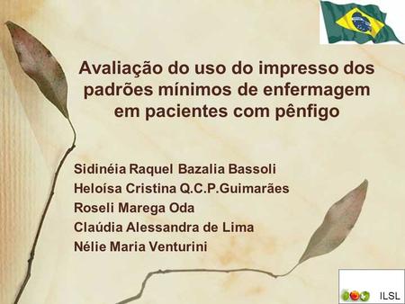 Sidinéia Raquel Bazalia Bassoli Heloísa Cristina Q.C.P.Guimarães