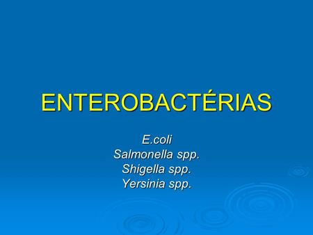 E.coli Salmonella spp. Shigella spp. Yersinia spp.