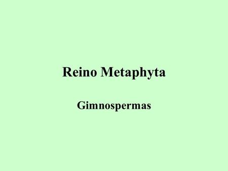 Reino Metaphyta Gimnospermas.