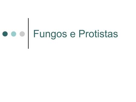 Fungos e Protistas.