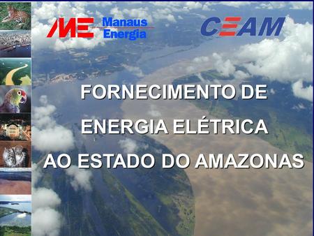 FORNECIMENTO DE ENERGIA ELÉTRICA AO ESTADO DO AMAZONAS.
