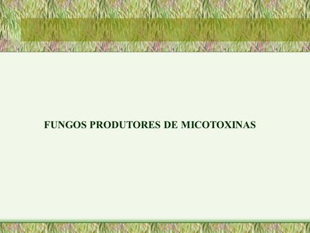 FUNGOS PRODUTORES DE MICOTOXINAS
