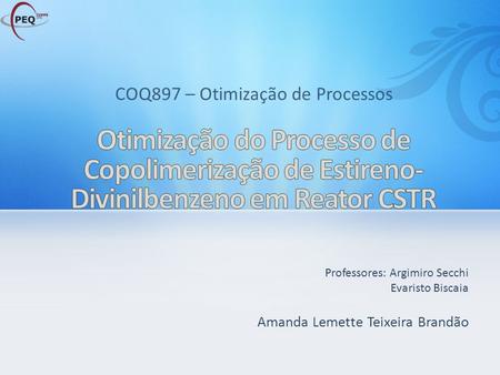 COQ897 – Otimização de Processos
