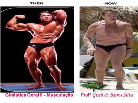 Ginástica Geral II - Musculação Profº Giseli de Barros Silva