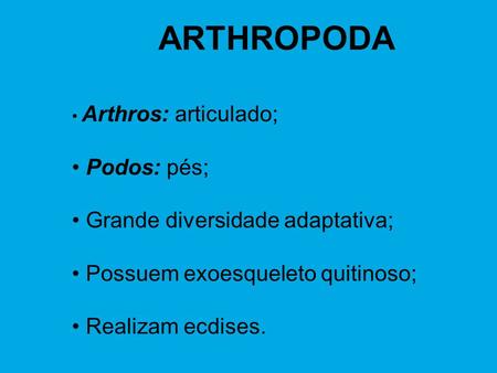ARTHROPODA Podos: pés; Grande diversidade adaptativa;