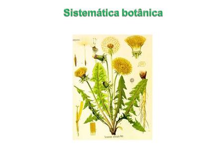 Sistemática botânica.
