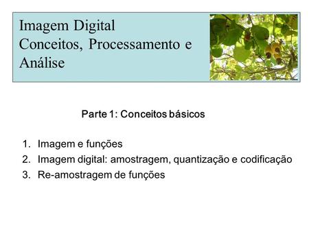 Imagem Digital Conceitos, Processamento e Análise 1.Imagem e funções 2.Imagem digital: amostragem, quantização e codificação 3.Re-amostragem de funções.